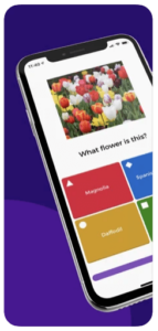kahoot!-app-is-a-top-B2C-app-in-UI-UX-2021
